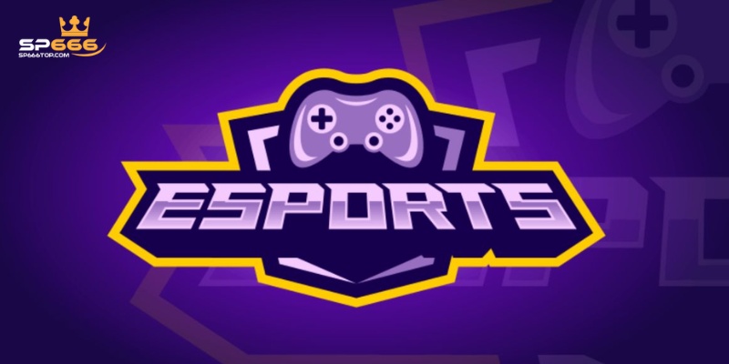 Esport SP666 – Cược Thể Thao Điện Tử Hàng Đầu Tại Châu Á 1 Nhà cái không ngừng cố gắng trong việc nghiên cứu thị trường