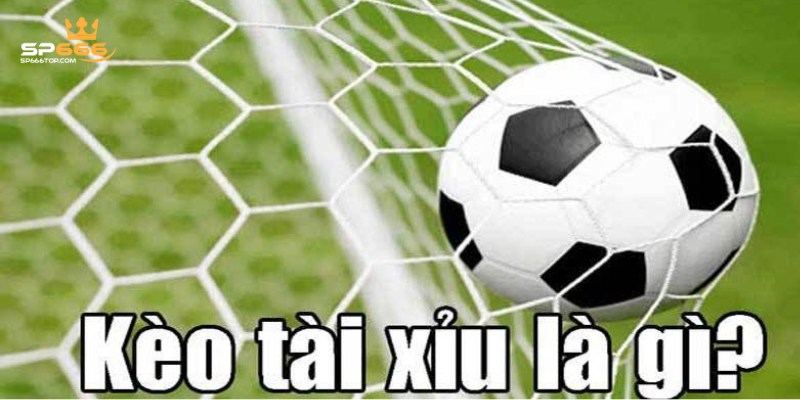 Tất Tần Tật Về Kèo Tài Xỉu SP666 Mà Các Tân Binh Cần Nắm 1 Giới thiệu sơ lược về kèo tài xỉu SP666