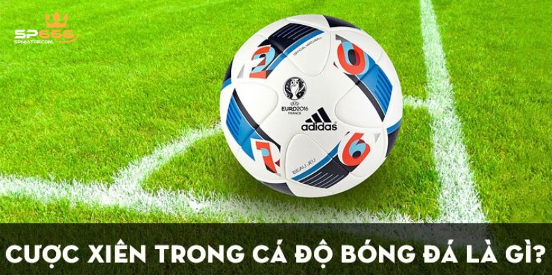 Kèo Xiên SP666 - Chi Tiết Cách Đọc Kèo Cơ Bản Cho Người Mới 2 Người chơi cần nắm rõ luật đọc kèo xiên