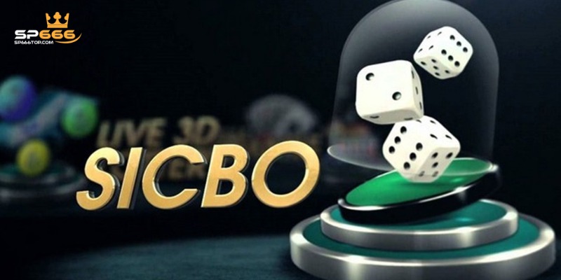 Sicbo SP666 - Chia Sẻ Luật Chơi Chuẩn Nhất Và Mẹo Đặt Cược 2 Cách chơi Sicbo cược Tài/Xỉu đơn giản nhất