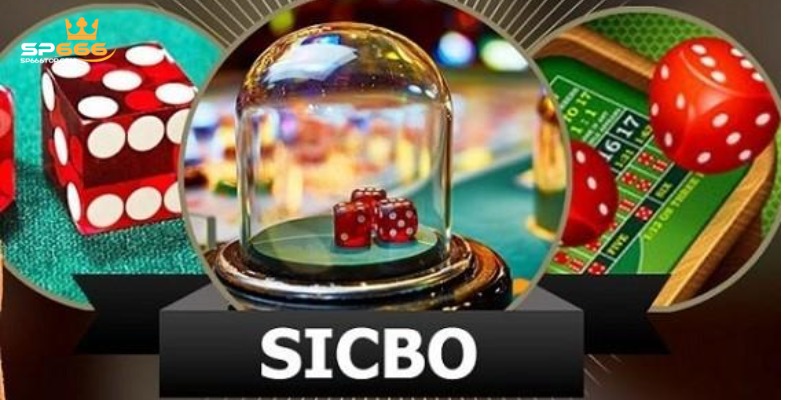 Sicbo SP666 - Chia Sẻ Luật Chơi Chuẩn Nhất Và Mẹo Đặt Cược 3 Quy tắc chơi cược tổng trong game Sicbo