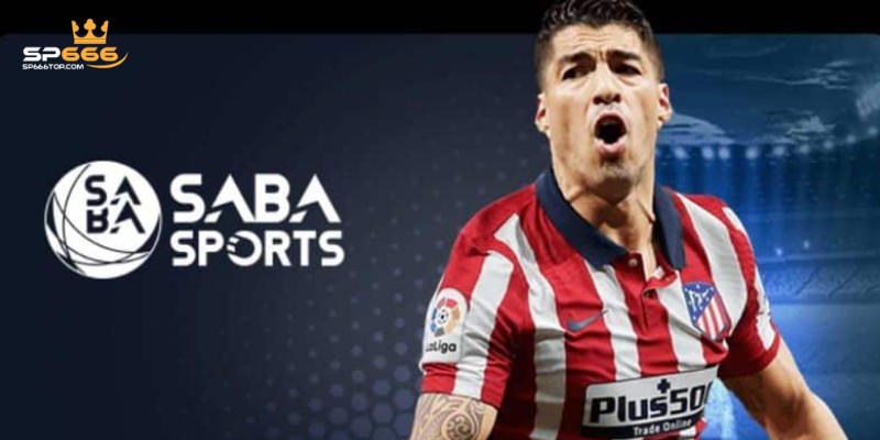 Khám Phá Saba Sports SP666 - Sảnh Cược Hot Nhất Hiện Nay 2 Hình thức cược phổ biến trên sảnh saba sports